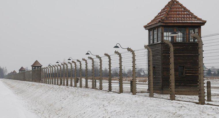 Welche Ereignisse führten zum Holocaust?