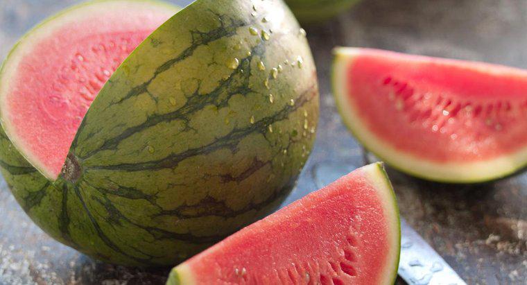 Wie sieht eine Wassermelonenrebe aus?