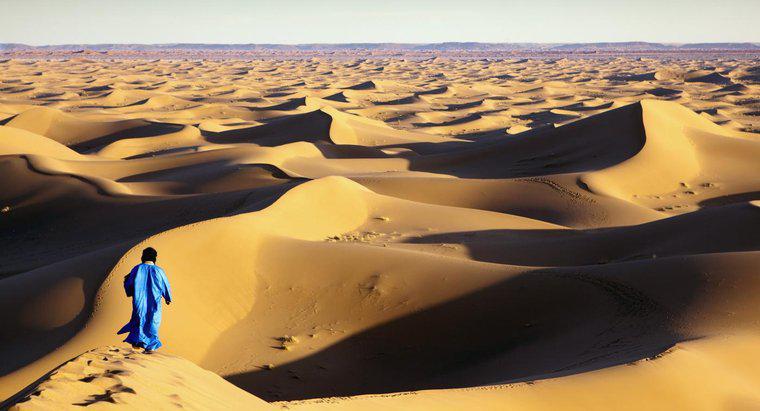 Was sind die Berufe der Menschen, die in der Sahara leben?