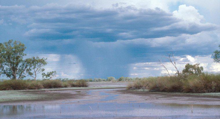 Was ist eine durchschnittliche Niederschlagsmenge in Feuchtgebieten?