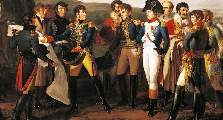 Wie kam Napoleon dazu, den größten Teil Europas zu dominieren?