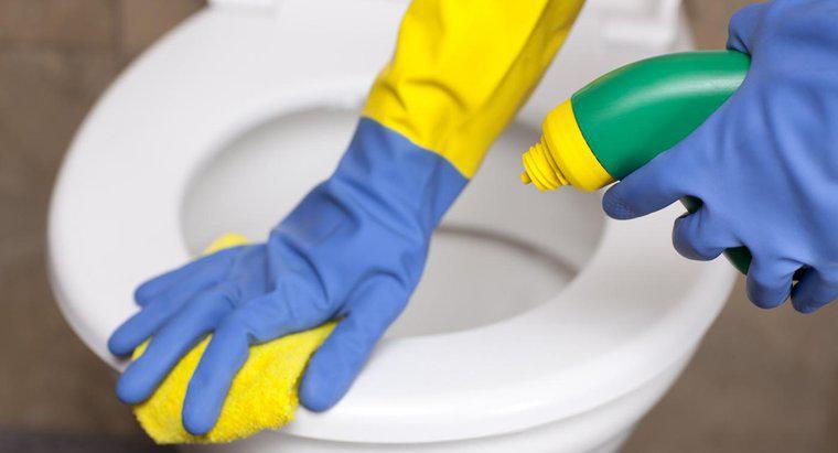 Was sind die Hauptzutaten in The Works WC-Reiniger?