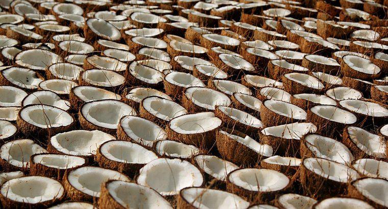 Was sind die gesundheitlichen Vorteile und Verwendungen von Kokosöl?