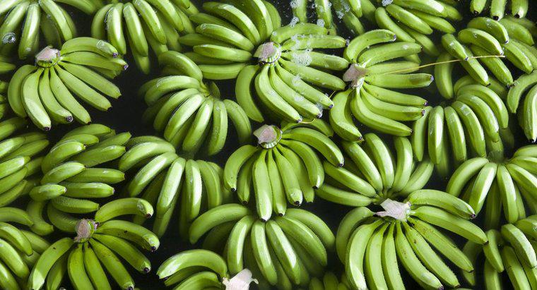 Wie reift man Bananen über Nacht?