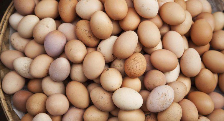Gelten Eier als Milch oder Geflügel?