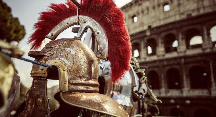 Welche Tiere haben Gladiatoren bekämpft?
