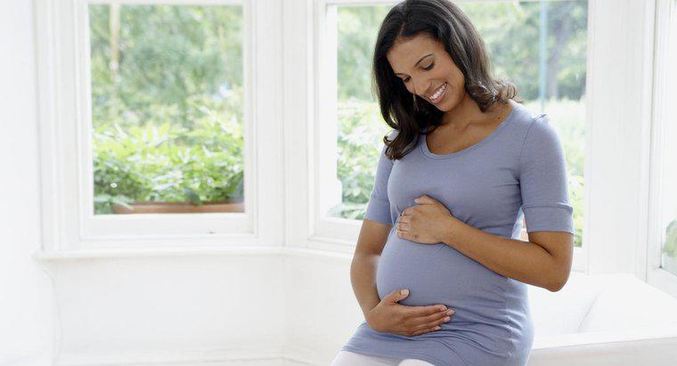 Wie wirkt sich eine Schwangerschaft auf die Basaltemperatur einer Frau aus?
