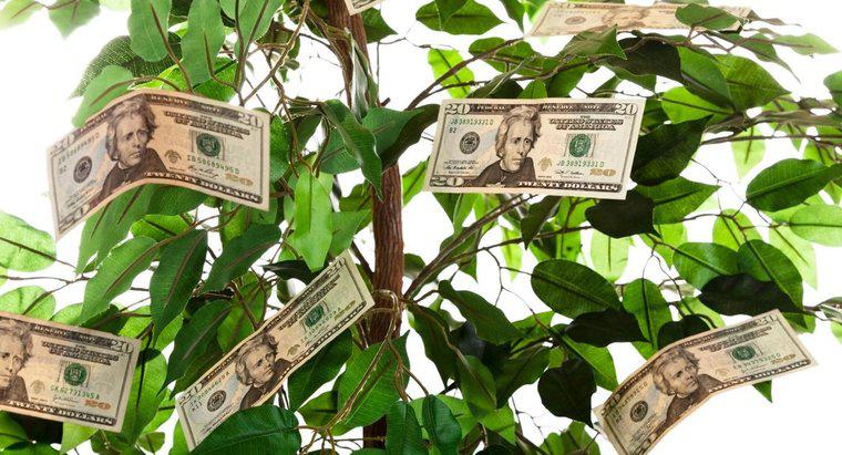 Wie verschenkt man einen Geldbaum?