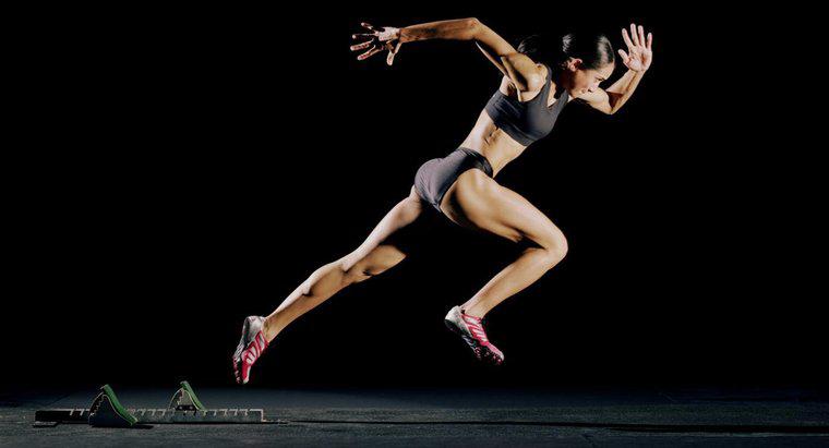 Wie arbeiten Muskeln zusammen, um Bewegung zu erzeugen?
