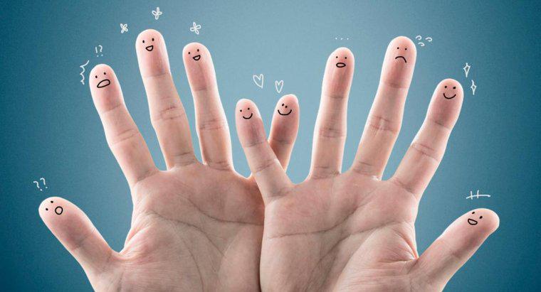 Warum sind Fingerspitzen sehr berührungsempfindlich?