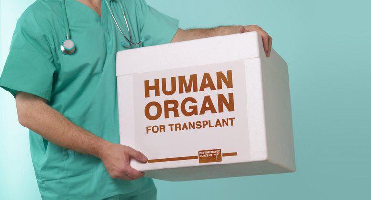 Was sind die Vor- und Nachteile von Organtransplantationen?