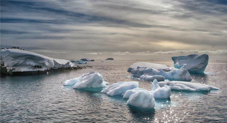 Was sind die drei Ozeane, die die Antarktis begrenzen?