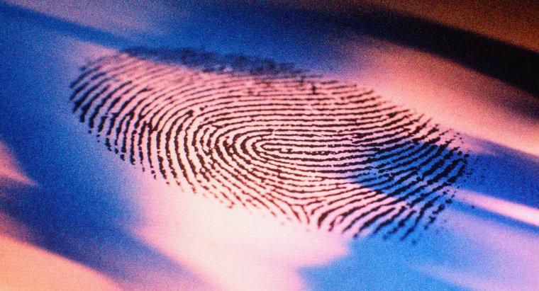 Was ist die Geschichte des Fingerabdrucks?