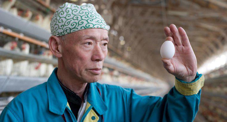 Kann man krank werden, wenn man alte Eier isst?