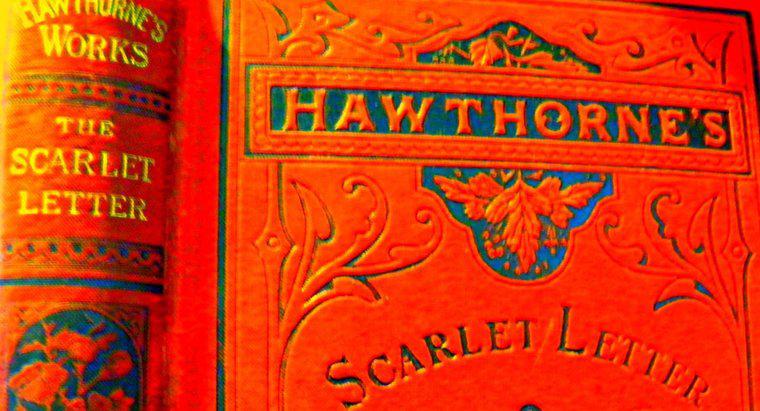 Ist "The Scarlet Letter" ein protofeministischer Roman?