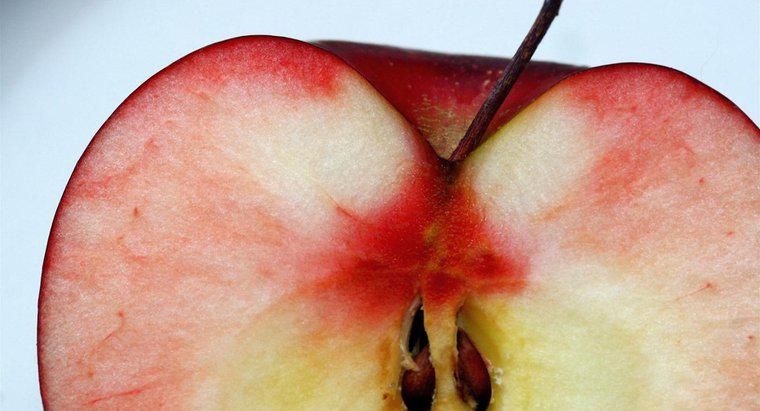 Wie werden Apfelkerne verteilt?