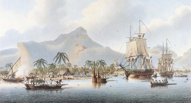 Welche Länder hat Captain James Cook entdeckt?