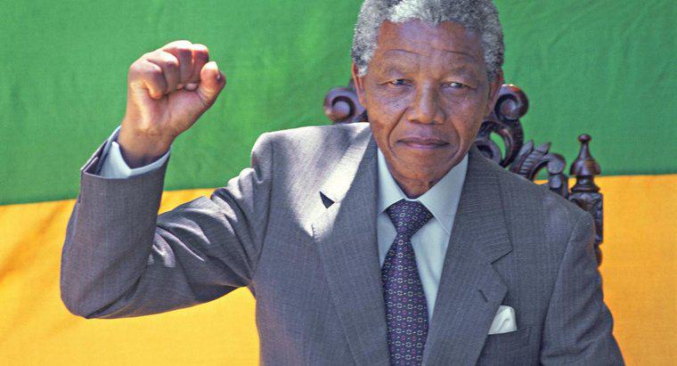 Was hat Nelson Mandela erreicht?