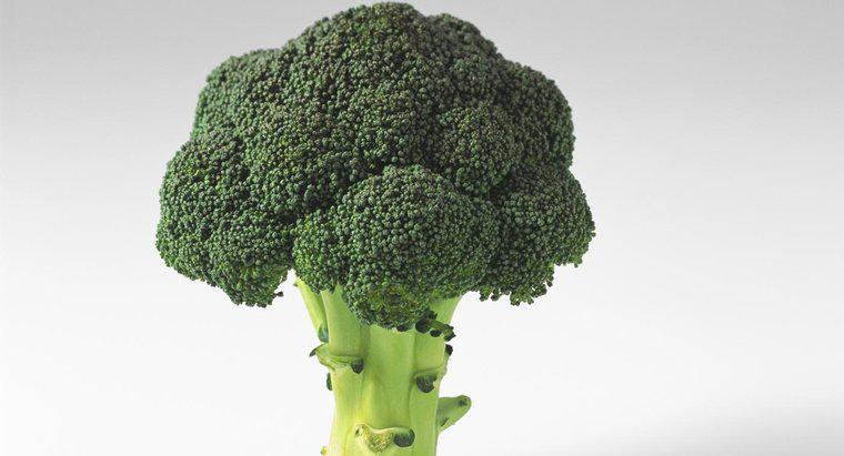 Was tut Brokkoli für Ihren Körper?