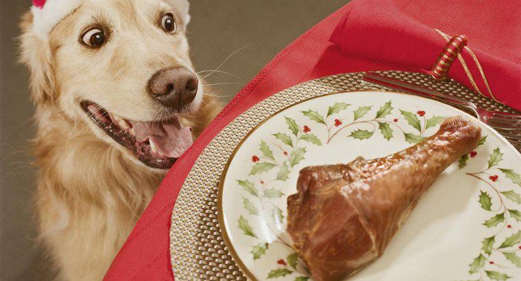 Dürfen Hunde Hühnerknochen essen?