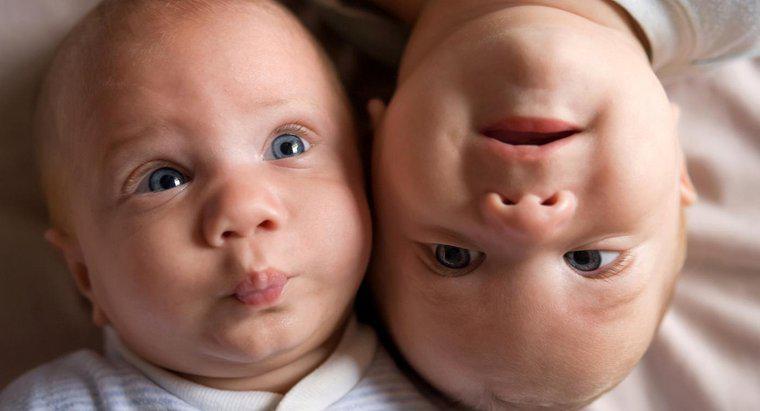 Können Zwillinge Jahre auseinander geboren werden?