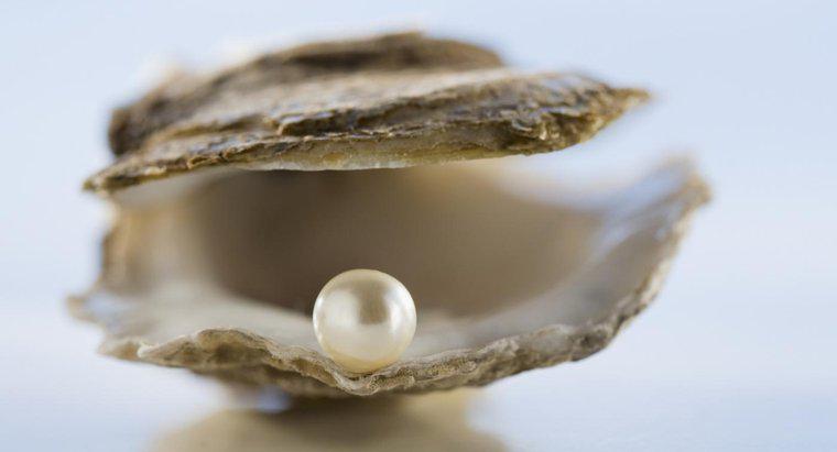 Was ist die Symbolik einer Perle?