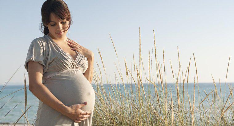 Was sind einige Anzeichen einer Schwangerschaft beim Menschen?