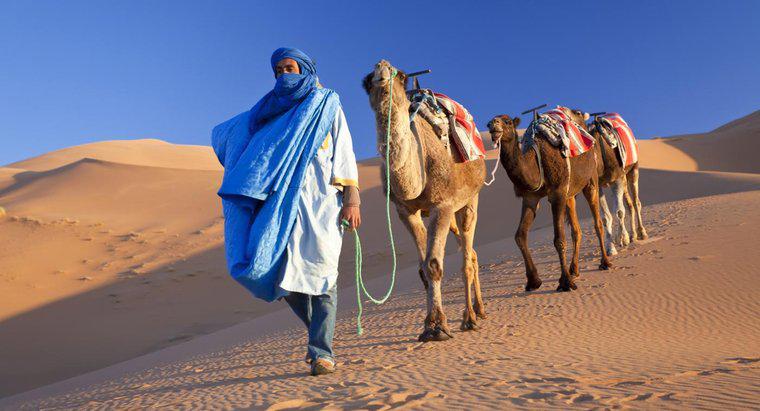 Welche Länder umfasst die Wüste Sahara?
