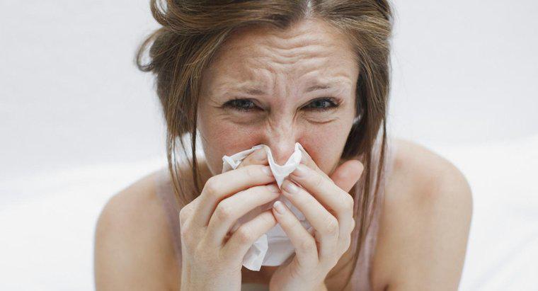 Welcher Erreger verursacht die Grippe?