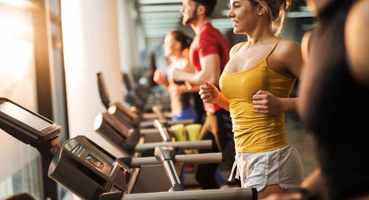 Wie hoch sind die typischen Mitgliedsgebühren für Fitnessstudios bei Fitness 19?
