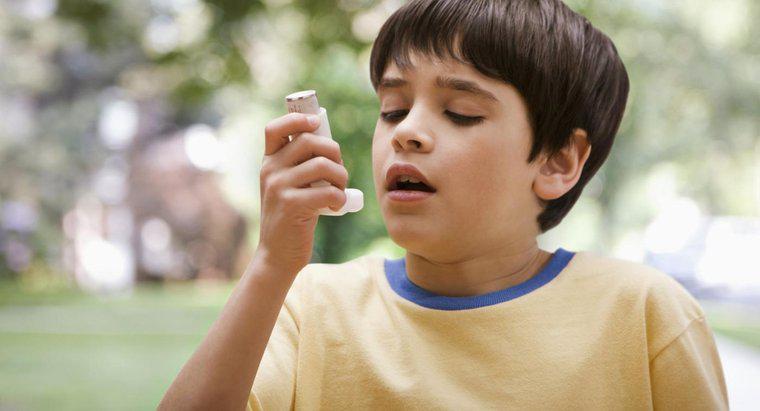 Wie wird das Atmungssystem von Asthma beeinflusst?