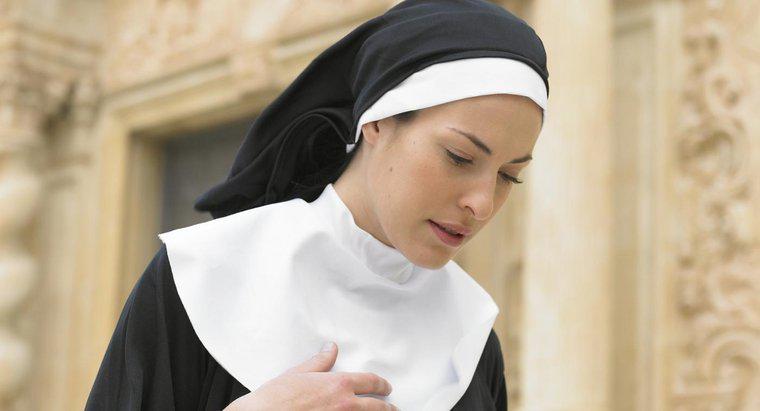 Wie heißen die Teile der Gewohnheit einer Nonne?