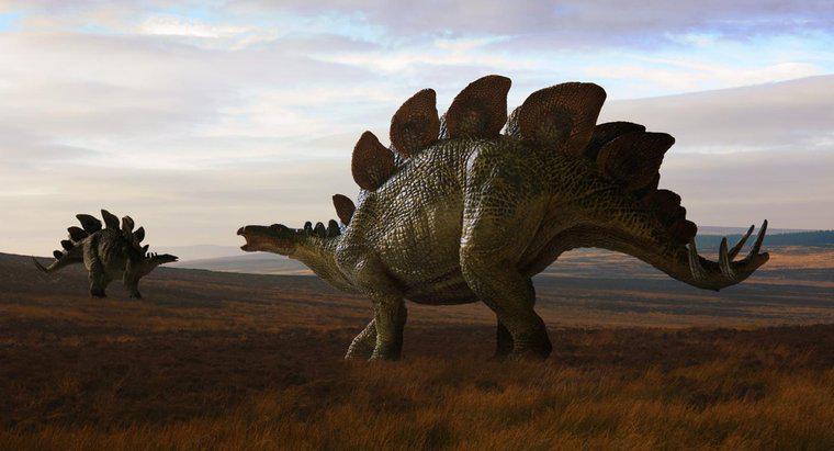 Wann durchstreiften Dinosaurier die Erde?