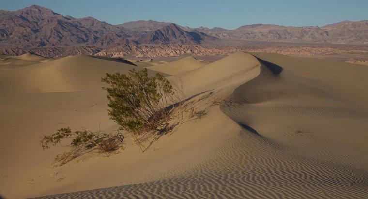 Welcher Agent der Erosion schafft Sanddünen?