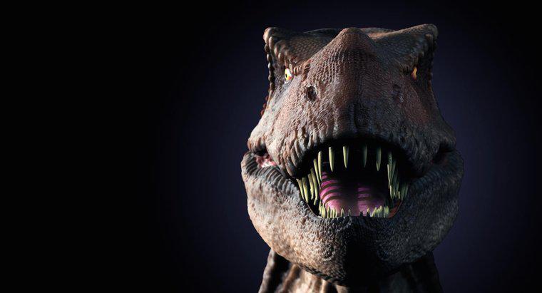 Was sind einige lustige Fakten über den T. Rex für Kinder?