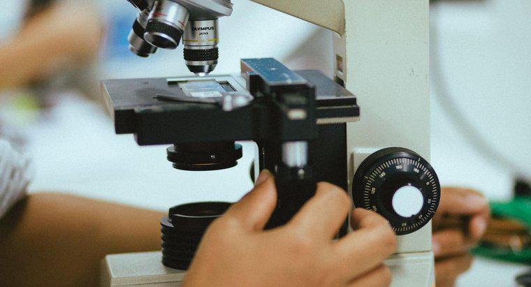 Was ist der Zweck eines Mikroskops?