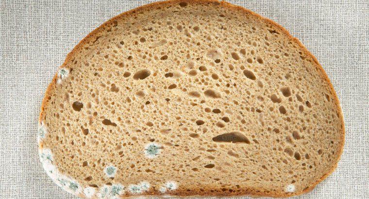 Was sind die Gefahren beim Essen von schimmeligem Brot?