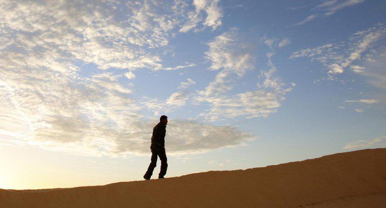Was sind die besten Tipps zum Überleben in der Wüste?