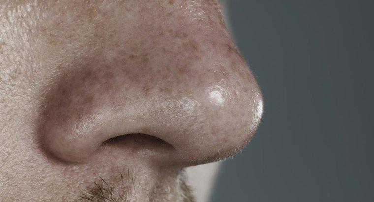 Was verursacht Wunden in der Nase?