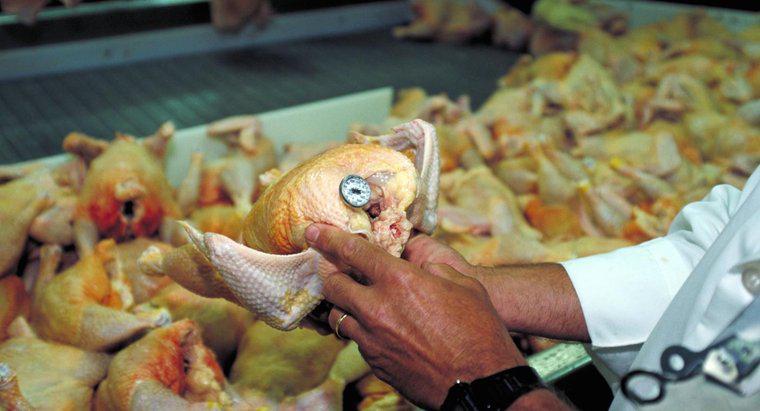 Was ist der beste Weg, um Hühnerinnereien von kommerziellen Hühnern zu entfernen?