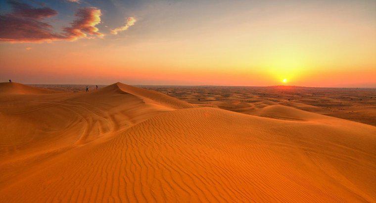 Was sind die biotischen und abiotischen Faktoren in Wüsten?