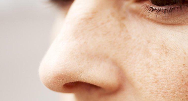 Was sind zwei Funktionen der Schleimhaut in der Nasenhöhle?