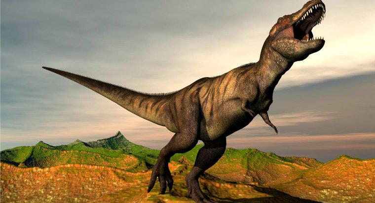Was sind einige Fakten über den Tyrannosaurus Rex?