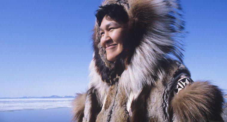 Was sind einige Fakten über die Inuit?