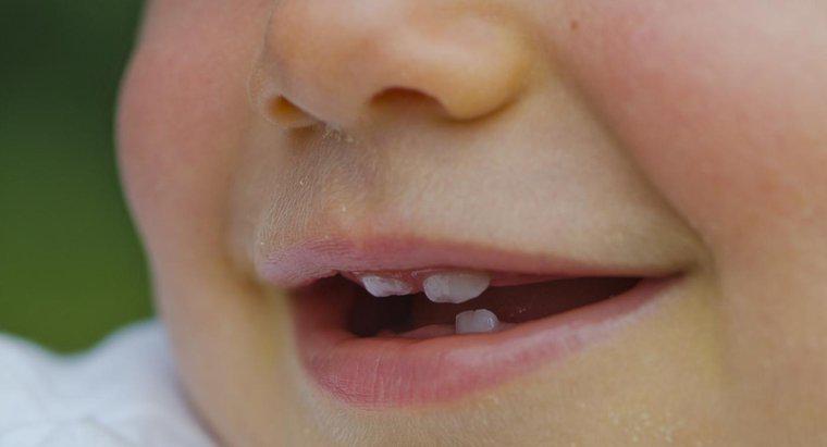 Was verursacht kleine Zähne?