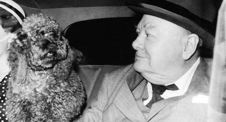 Wer war Winston Churchill und warum war er berühmt?