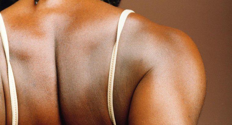 Was verursacht Rückenschmerzen entlang des Schulterblatts?