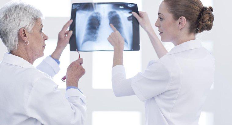 Was macht die Lunge im Atmungssystem?