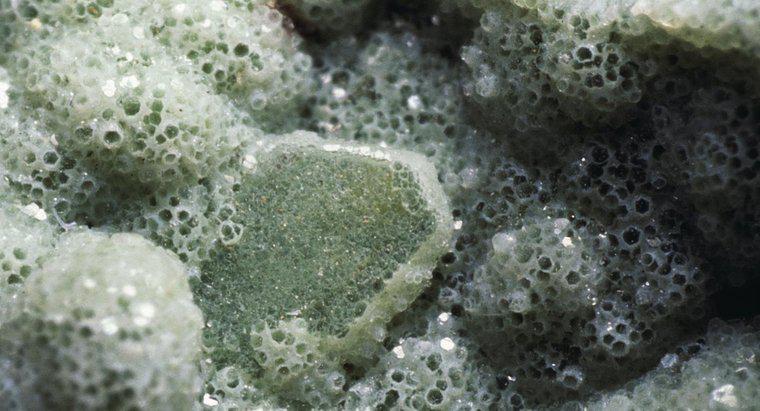 Welche Gruppe von Mineralien sind in der Erdkruste am reichlichsten vorhanden?