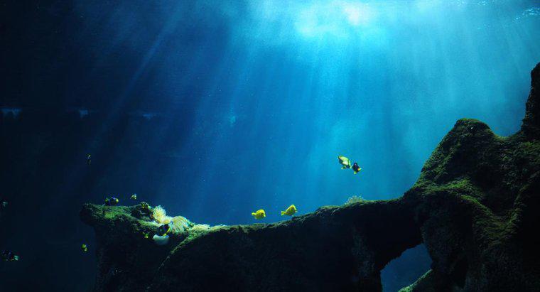 Was passiert in tiefen Ozeangräben?